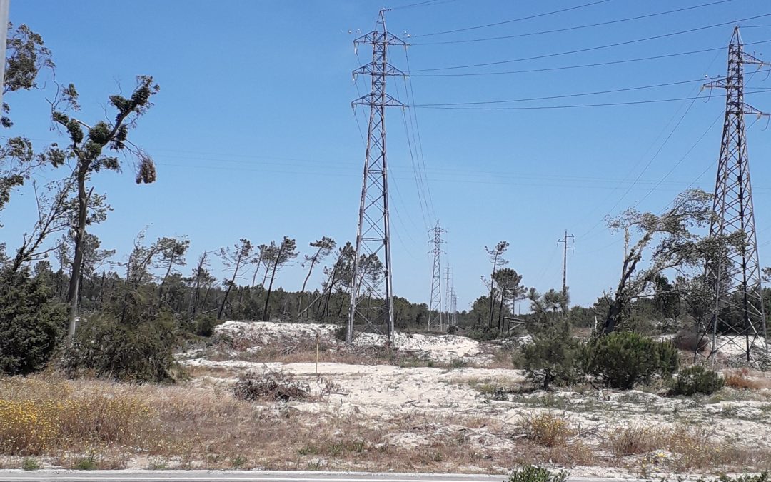 Concepção e Construção da Linha de AT a 60kV entre a Central SBM e a SE de Lavos da REN